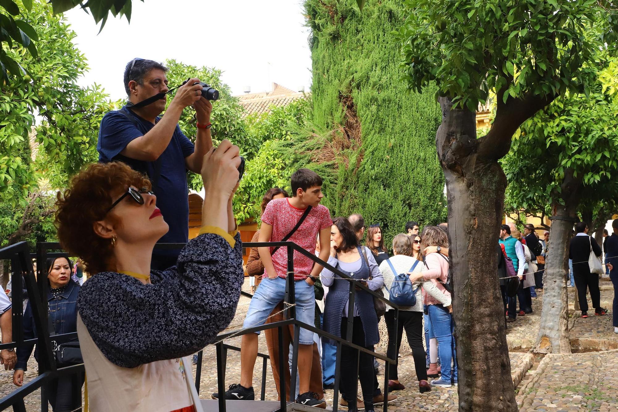 Patio de los Naranjos