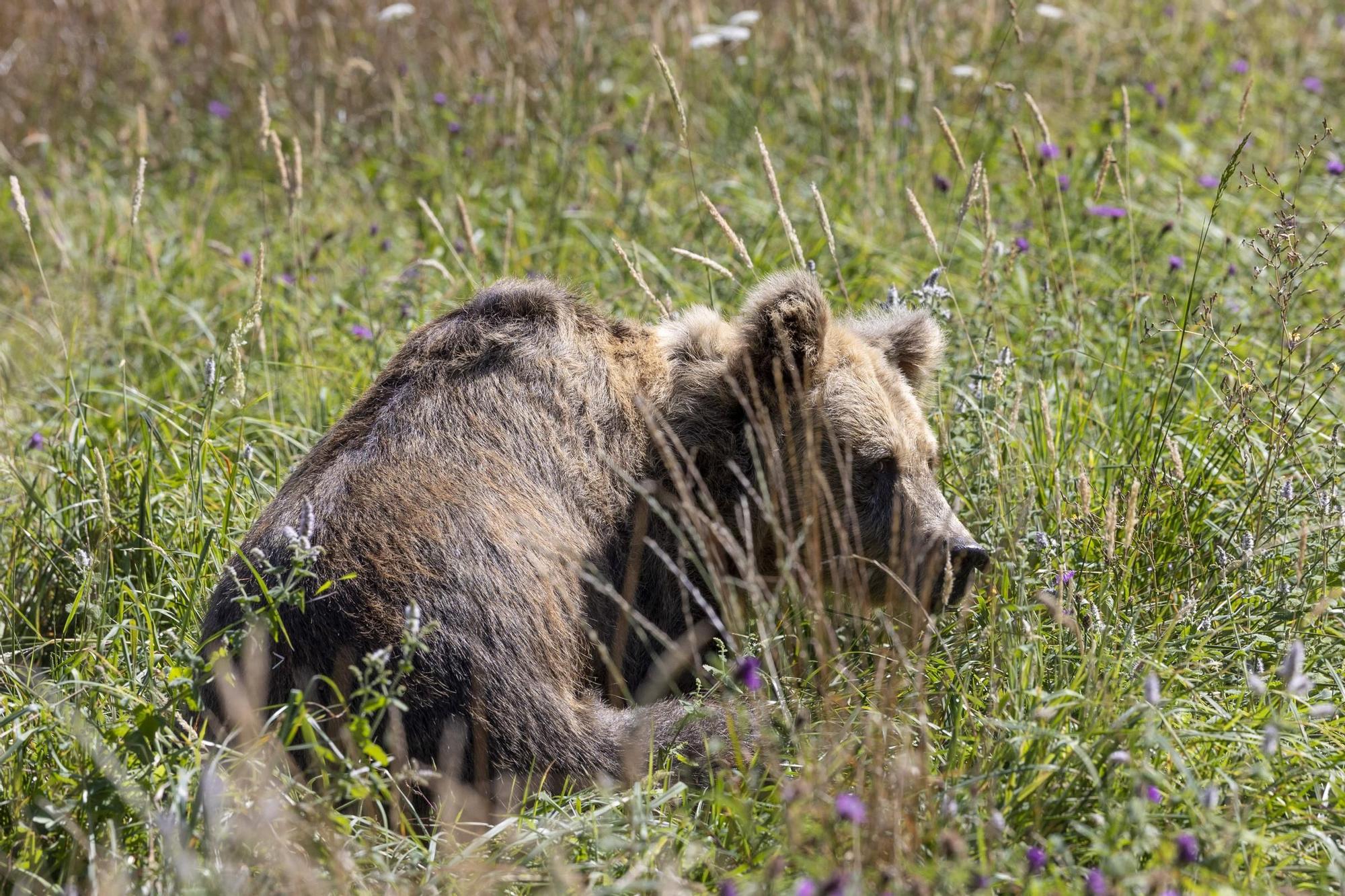 230726LNE_MIKI LOPEZ (178886701).jpg