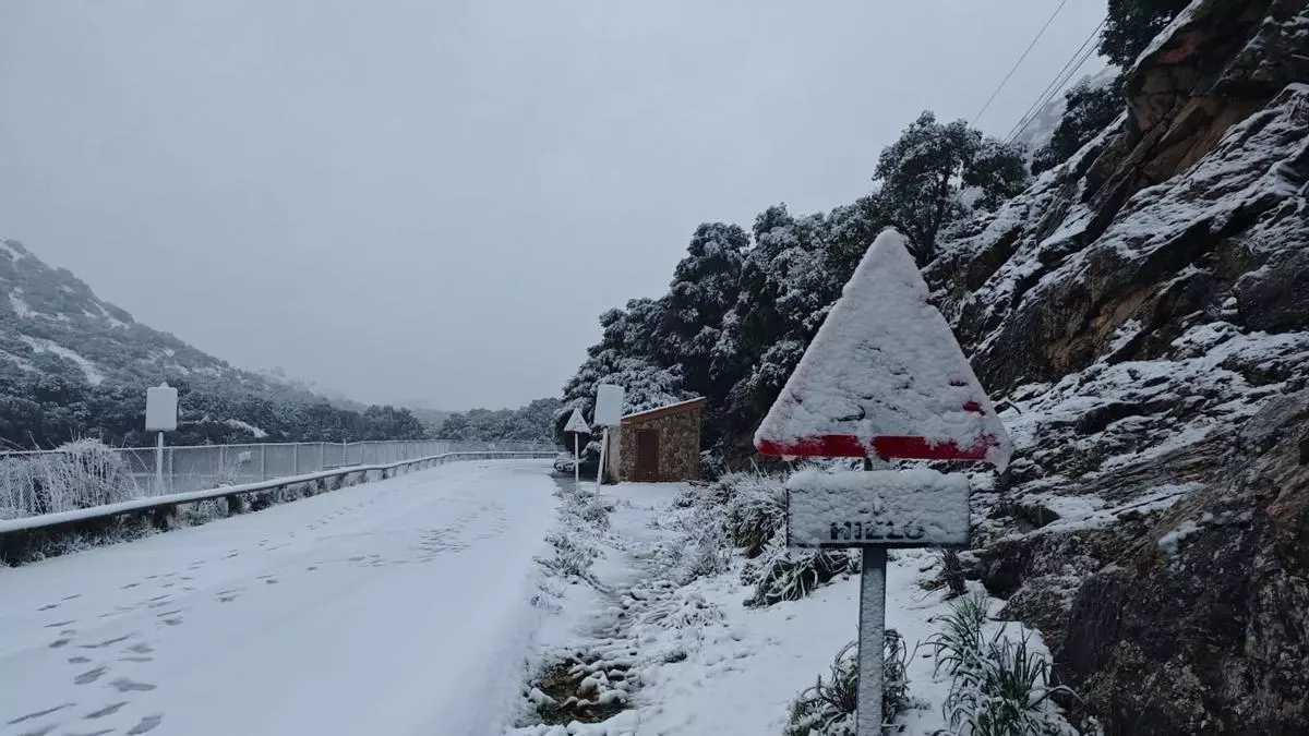 La Serra de Tramuntana se cubre de blanco en plena primavera: “La mejor nevada en tres años”