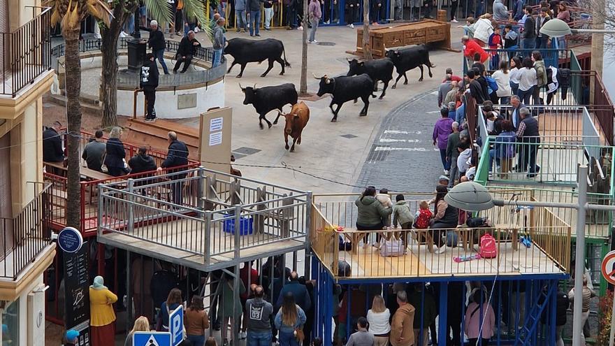 Un matrimonio, él de 79 años, heridos al embestirlos una vaquilla en los &quot;bous al carrer&quot; de Xàbia