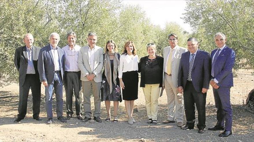 Ana María Romero, presidenta de las Ciudades Oleícolas del Mediterráneo