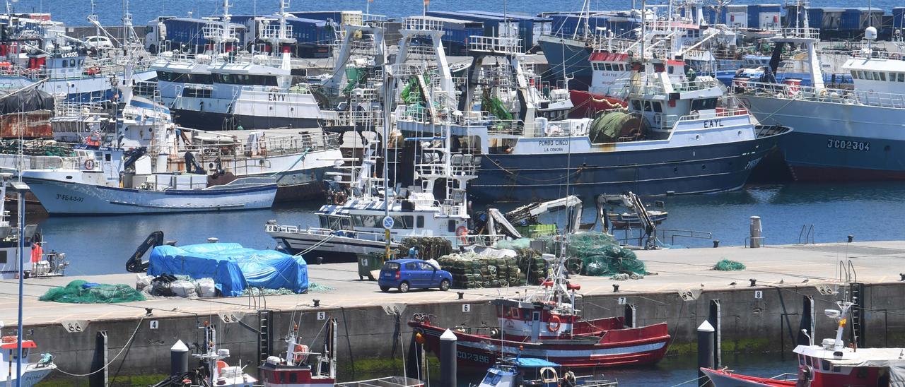 Barcos de pesca en el muelle de Oza.