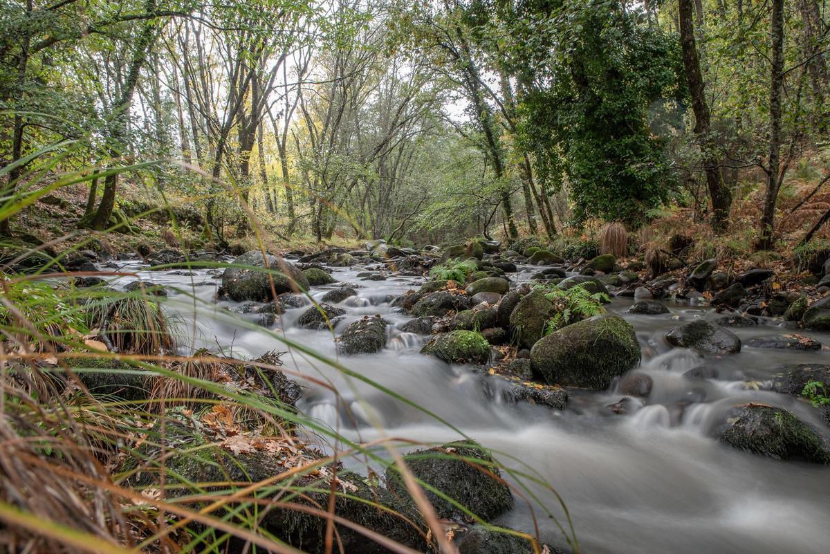 Las gargantas naturales son características de la naturaleza en Jaraíz de la Vera.