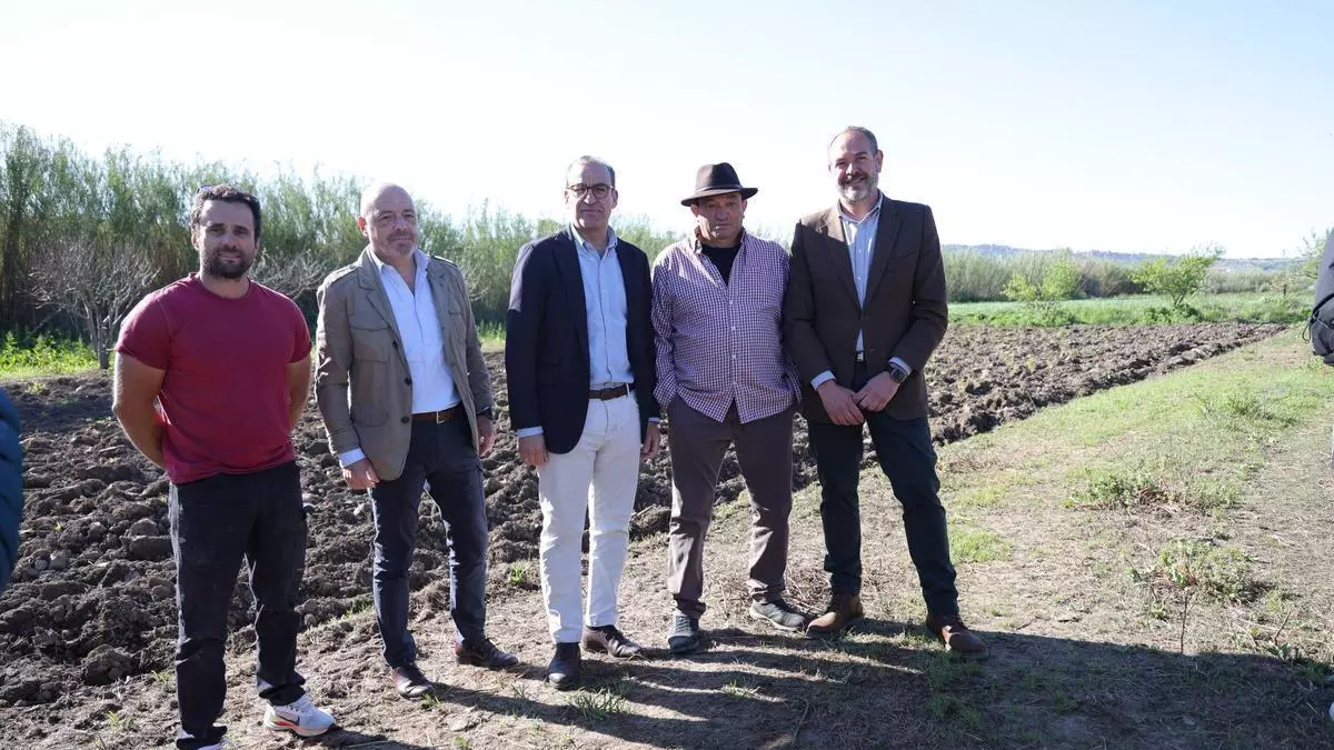 La Ribera del Marco entra en una carrera contrarreloj para limpiar los cañaverales antes de las lluvias: 110.000 euros de inversión