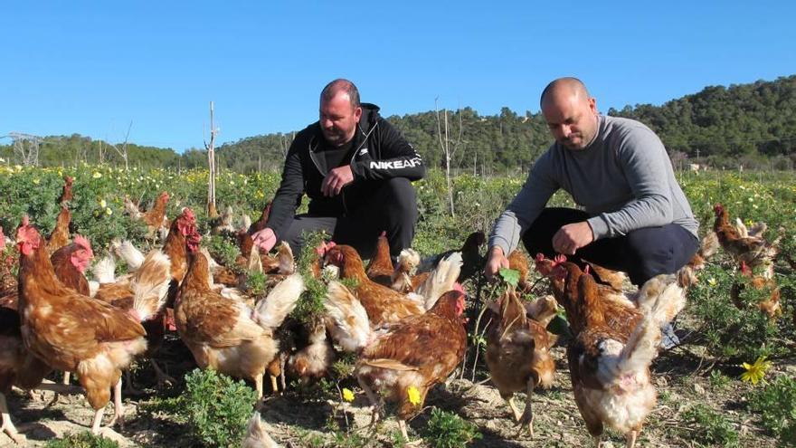 Albert Bisquerra y Rubén Chireli, los dos impulsores de la granja ecológica de Can Goi.