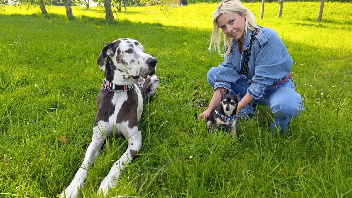 Perros de "récord": una gran danés y un ratón de Praga, atracción y buena armonía en La Fresneda