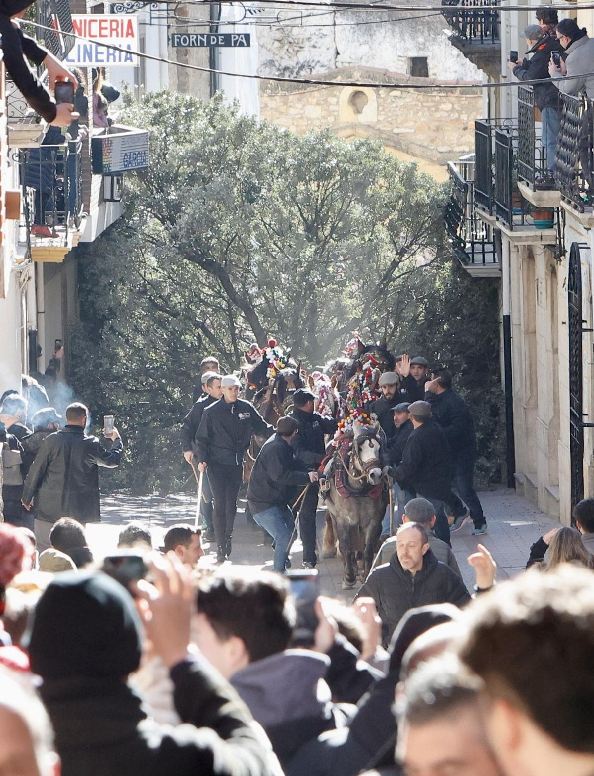 Los balcones se han llenado de gente para no perderse les 'rossegades'.