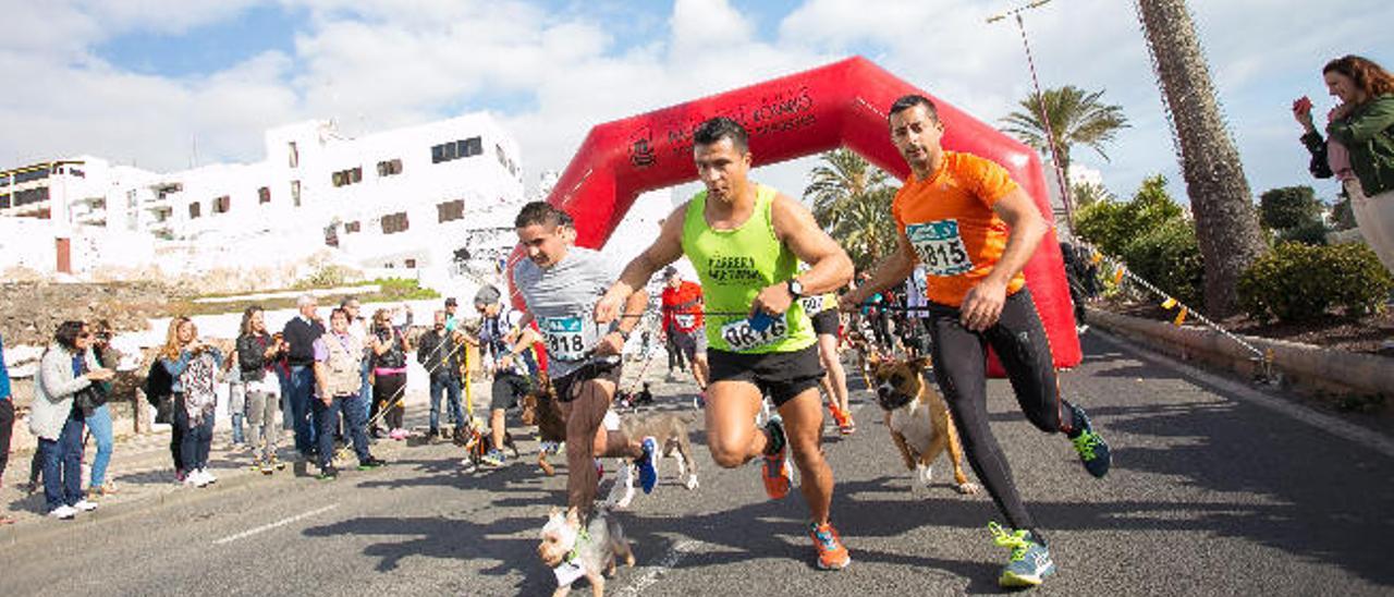 A la derecha David y su perro Darco, un boxer ganador, y en el centro el yorkshire Bolt ayer ,en la carrera solidaria celebrada en Puerto del Rosario.