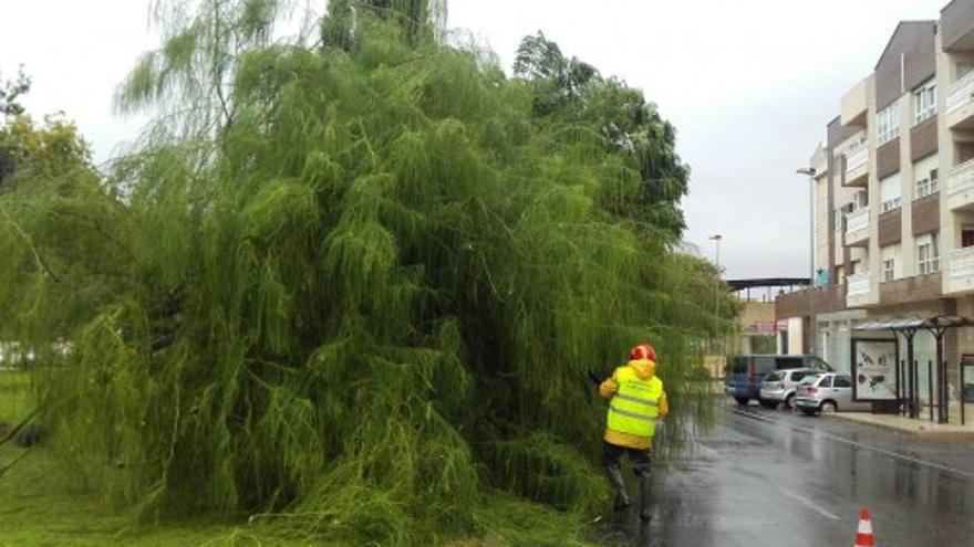 Rescate de una pareja que intentaba salir desde la Algameca -Saneamiento de un árbol caído el en Polígono residencial de Sta. Ana. - Achique de agua en un sótano en mar de Cristal donde como se aprecia en las fotografías, quedo todo inundado