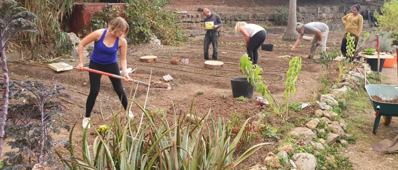 Hortelanos trabajan parte de los huertos de la Fundación Arboretum.