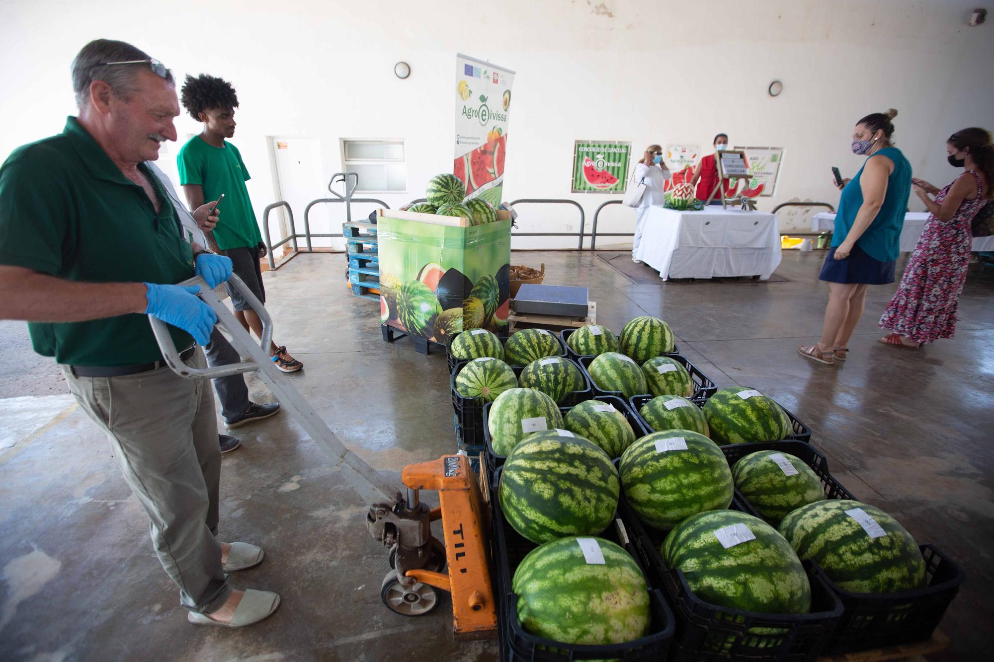 La ‘sandía más grande del mundo’ pesa 20 kilos y es de es Canar