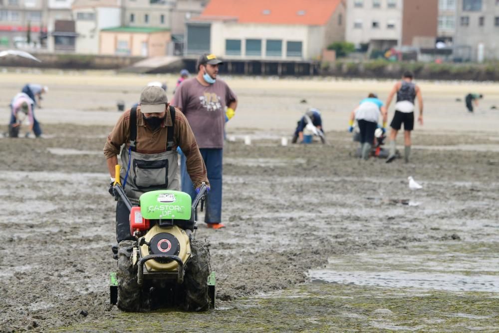 Mariscadores de Cangas y Moaña, en mar y en tierra