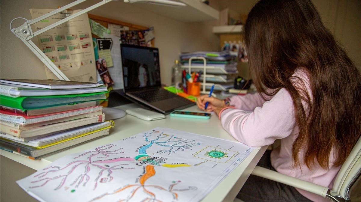 Una pequeña de Vitoria sigue a través de internet las clases, este jueves.