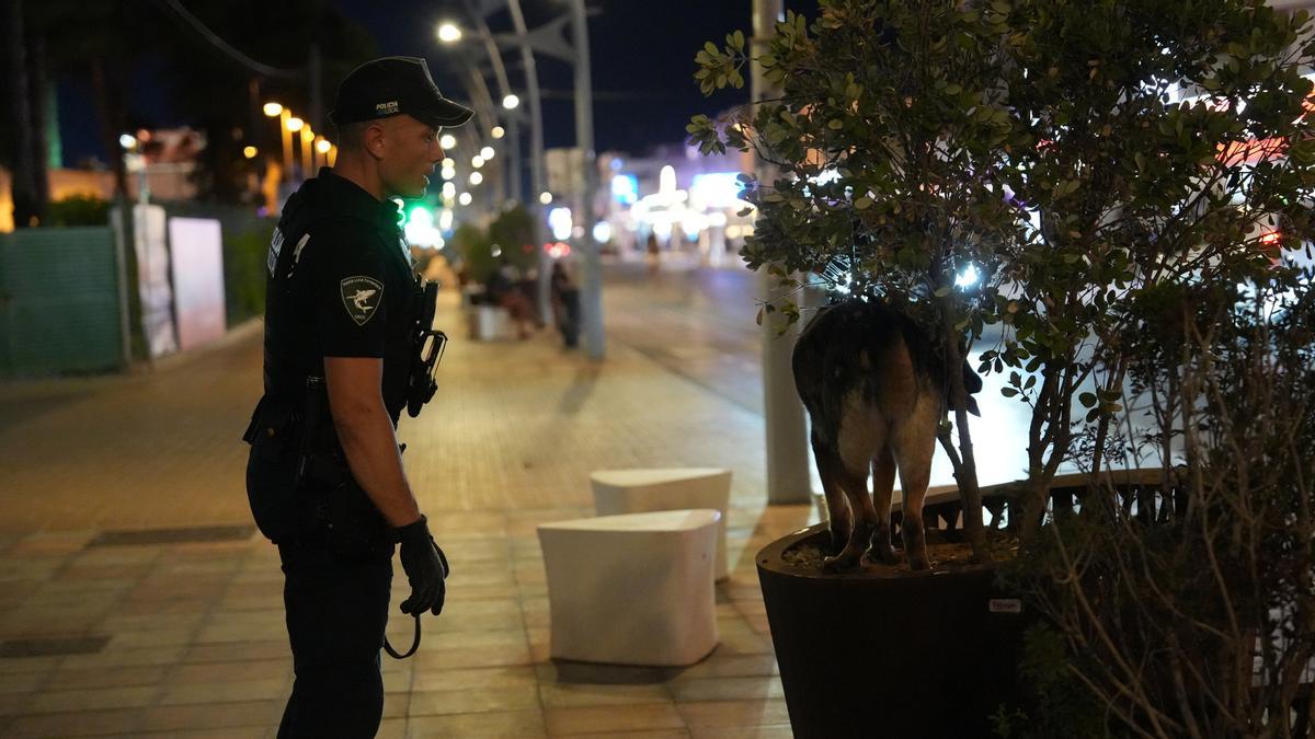 Summer, la perra antidrogas que vuelve a Ibiza este verano para luchar contra el narcotráfico