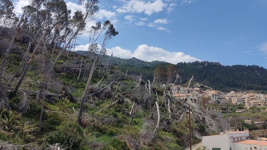 Wie ein Pulverfass: Im Bergdorf Banyalbufar auf Mallorca steigt die Angst vor Waldbränden