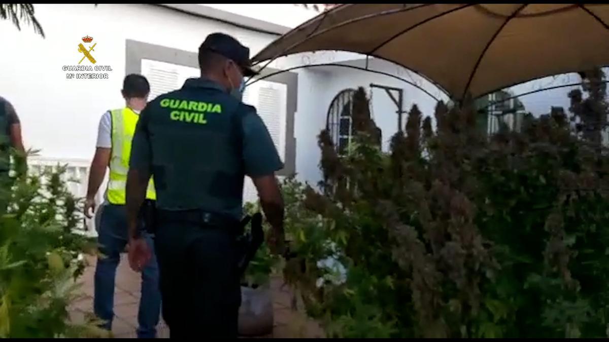7 detenidos en Gran Canaria por cultivar marihuana