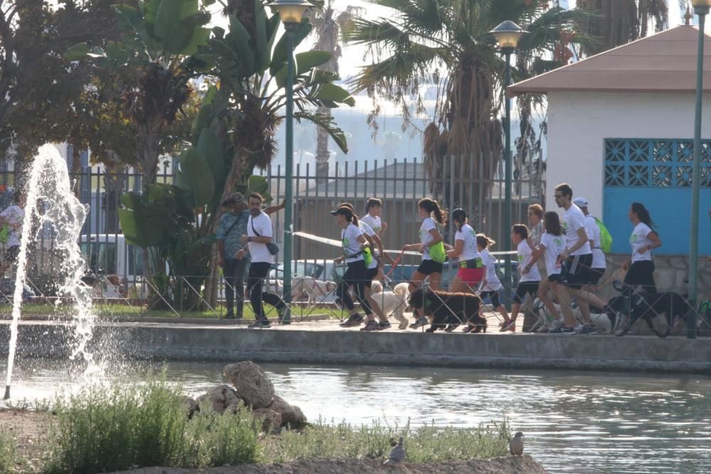 El Parque Huelin ha acogido la primera edición de un evento destinado a las mascotas y a sus dueños, con carreras en diversas categorías, actividades gratuitas y numerosos stands