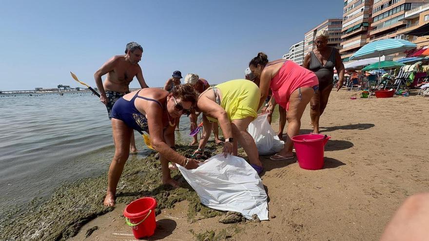 Bañistas de la playa del Acequión se plantan contra la marea verde de algas portuarias que toma las orillas a diario