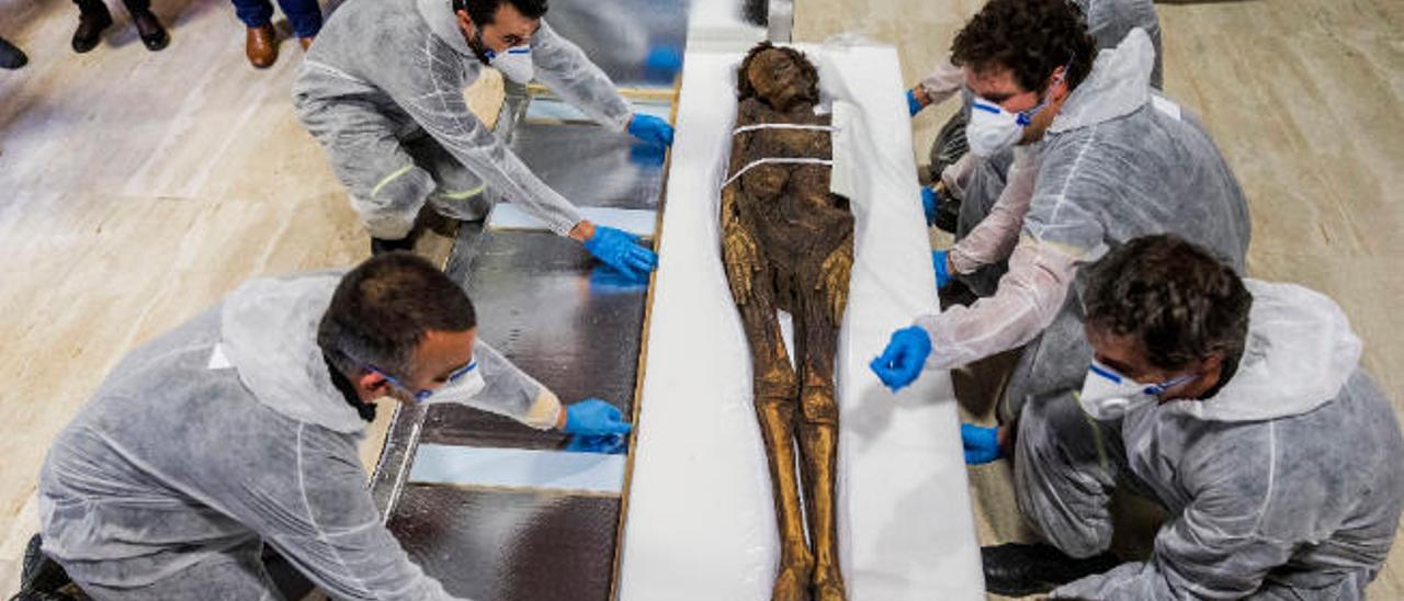 El Museo Arqueológico de Madrid acogió en 2015 la momia guanche del Barranco de Herques, el mejor ejemplo de restos momificados de las culturas prehispánicas canarias.