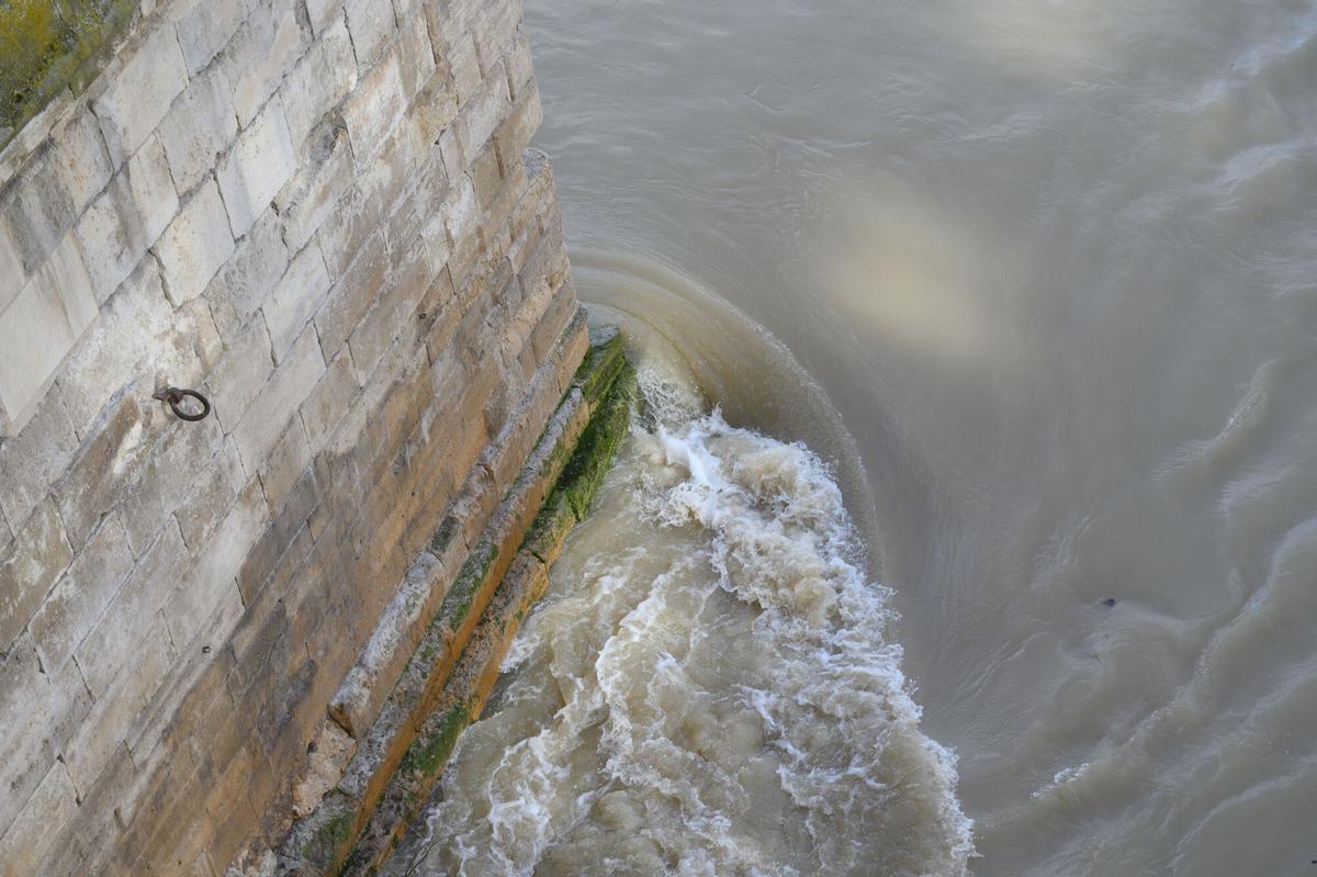 EN IMÁGENES | Crecida del río Ebro a la altura de Zaragoza