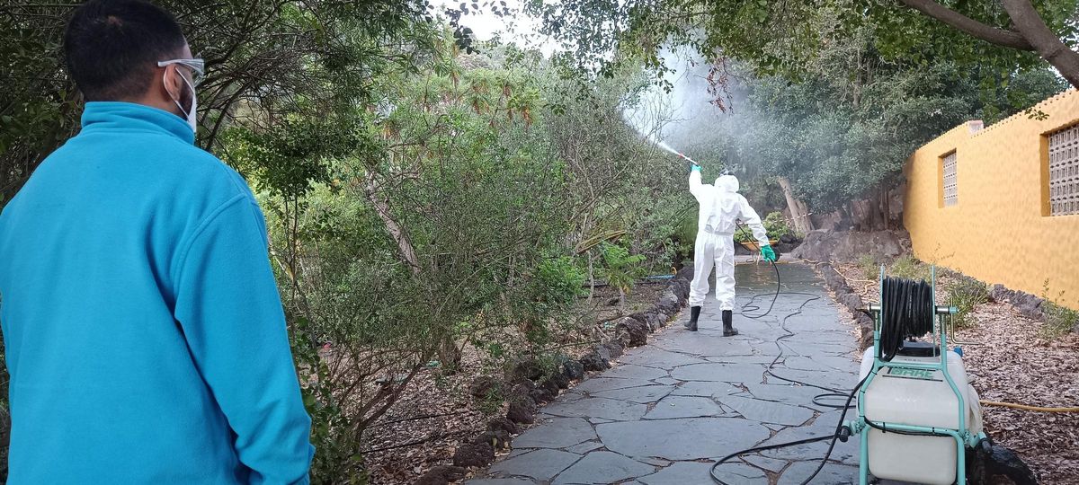 Prevención de plagas en uno de los senderos que atraviesan el centro