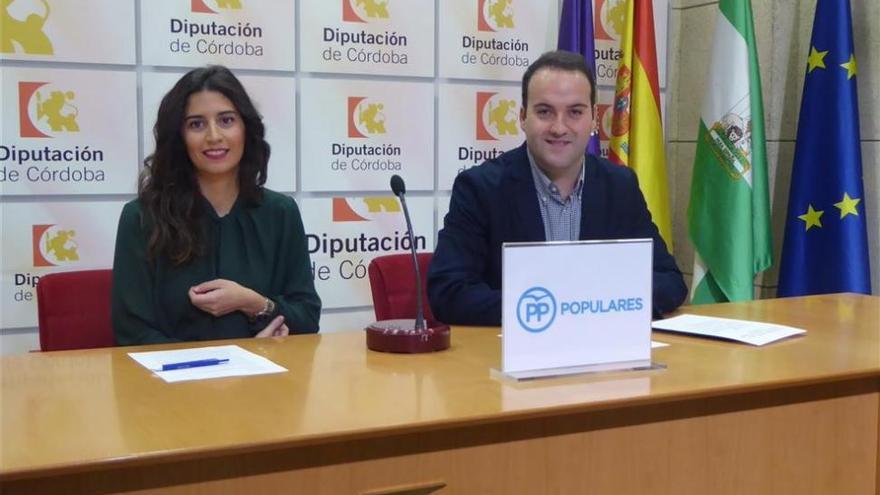 El PP pide a Diputación que incluya a los municipios mayores en las ayudas para el patrimonio