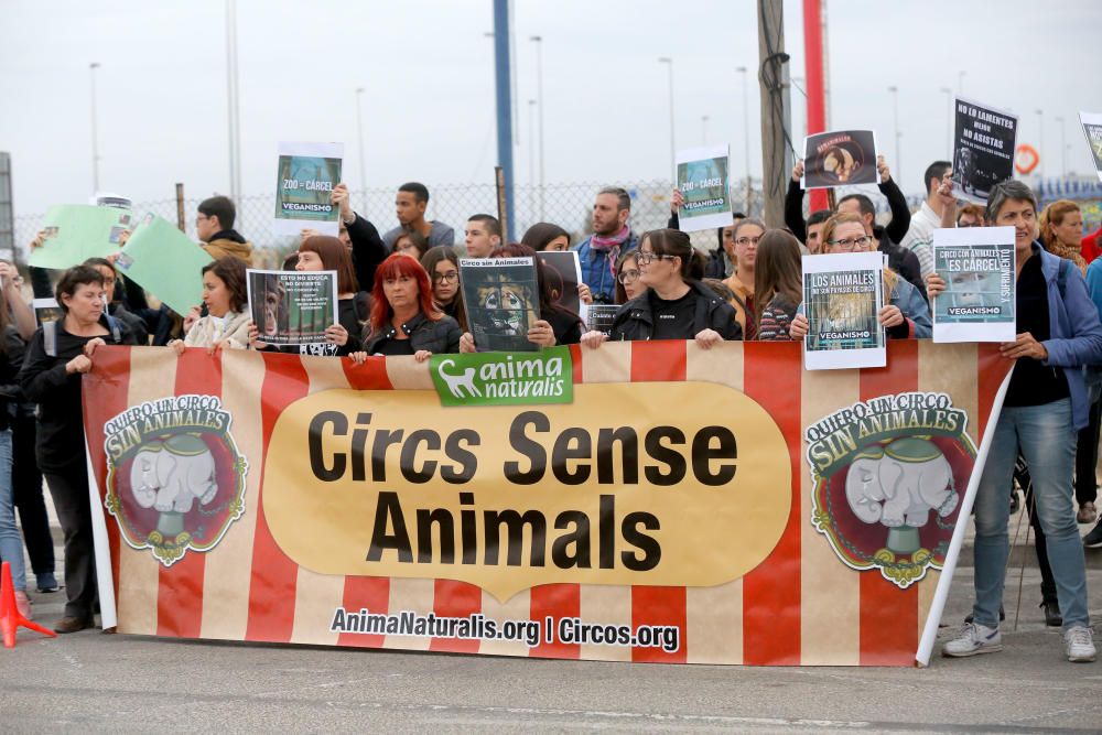Protesta contra un circo con animales en Alfafar