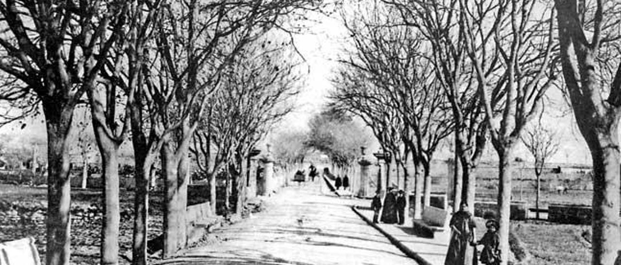 Fotografía histórica del paseo de las Quatre Campanes de Palma.