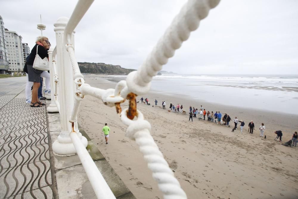 Concentración en la playa de Salinas para pedir el acceso para perros