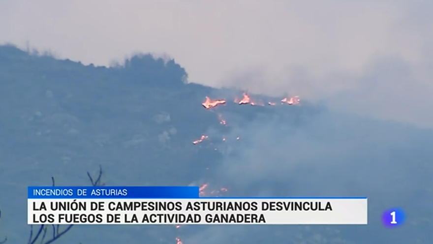 TVE, obligada a rectificar tras acusar a los ganaderos asturianos de provocar incendios