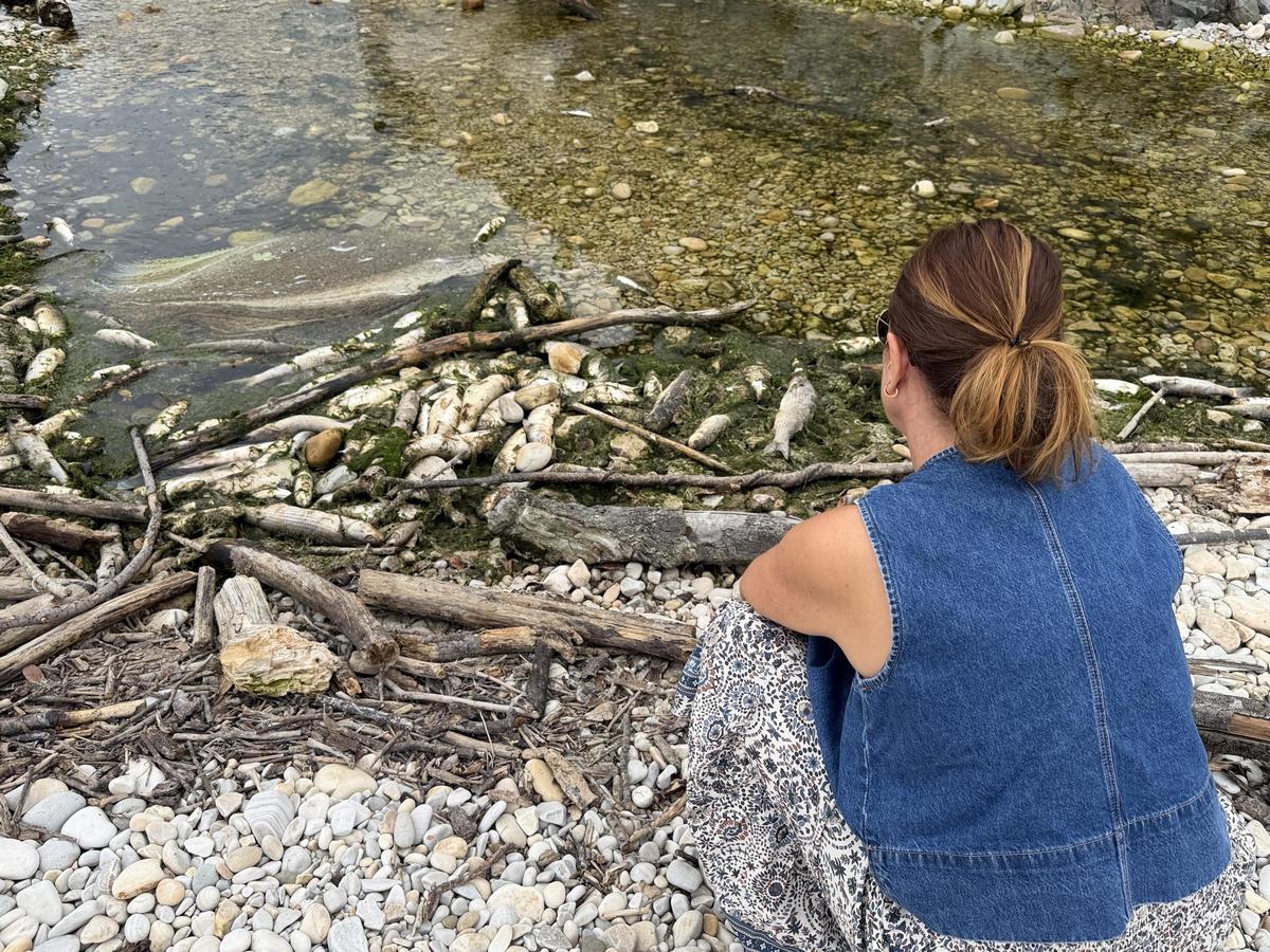 Aparecen cientos de peces muertos en una playa de Llanes