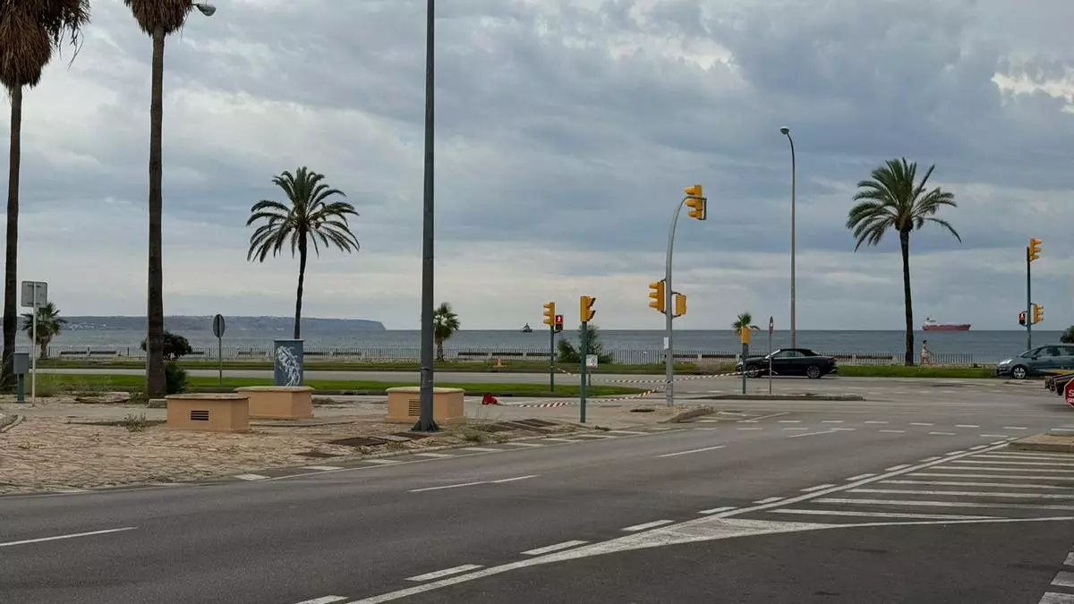 Cierran el Paseo Marítimo de Palma a los peatones por riesgo de caída de árboles o palmeras