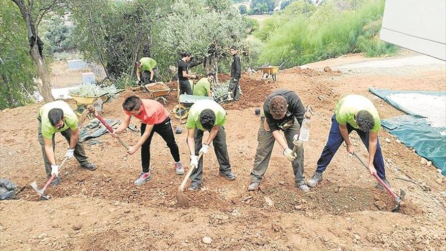 Caballos propios para formar en actividades ecuestres