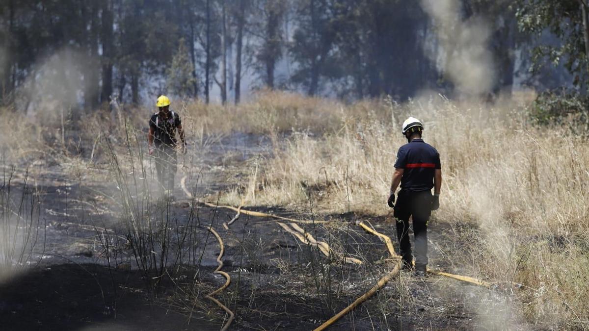 Bomberos en un incendio de pastos en Córdoba.