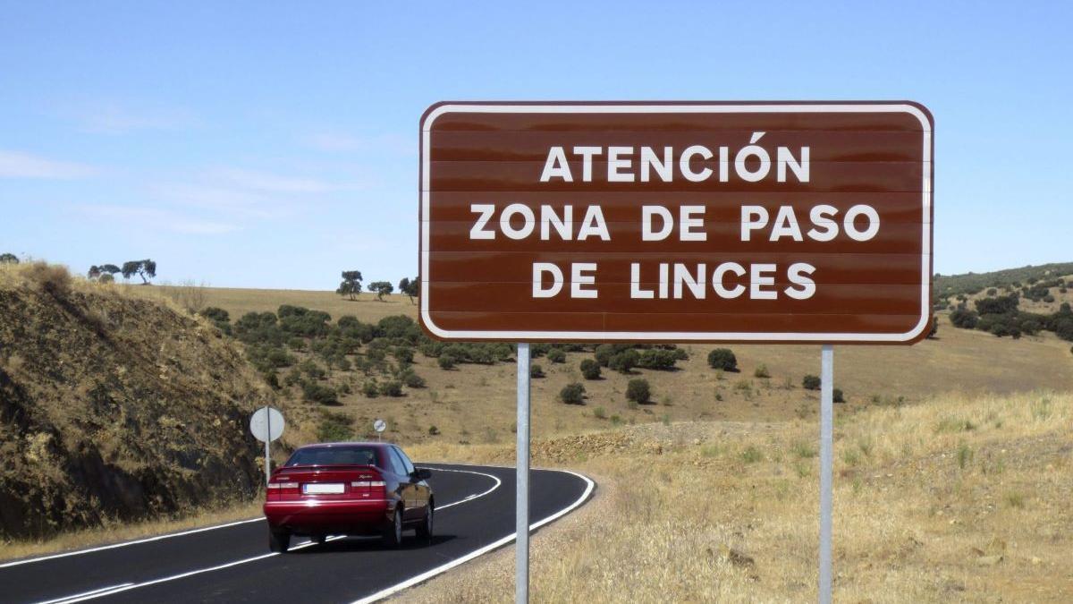 Atención zona de paso de linces.