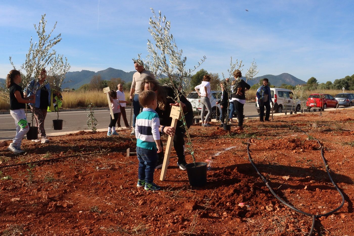 Vecinos y empresas de Onda planta árboles para el bosque olímpico