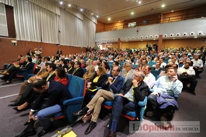 Somos Región celebra su Convención Constituyente