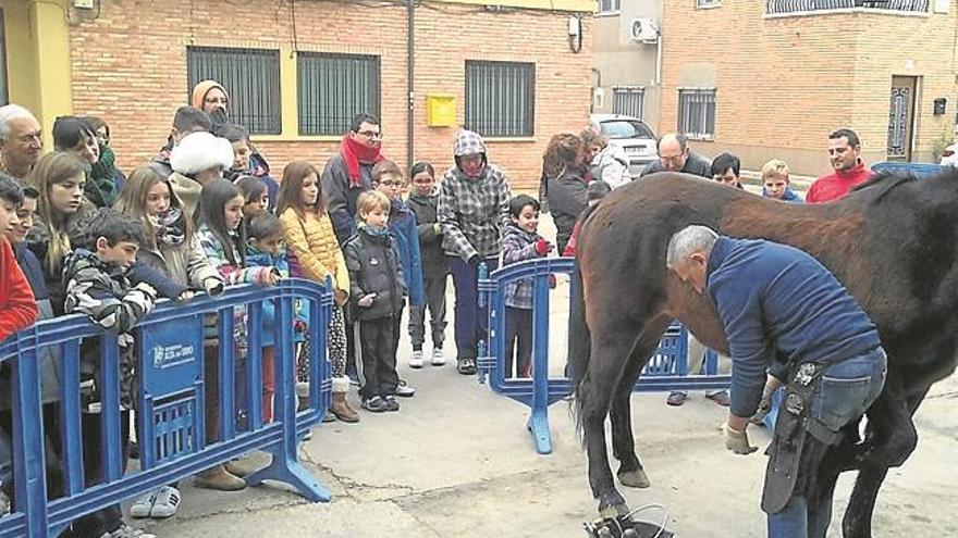 El frío no resta afluencia a las fiestas de enero