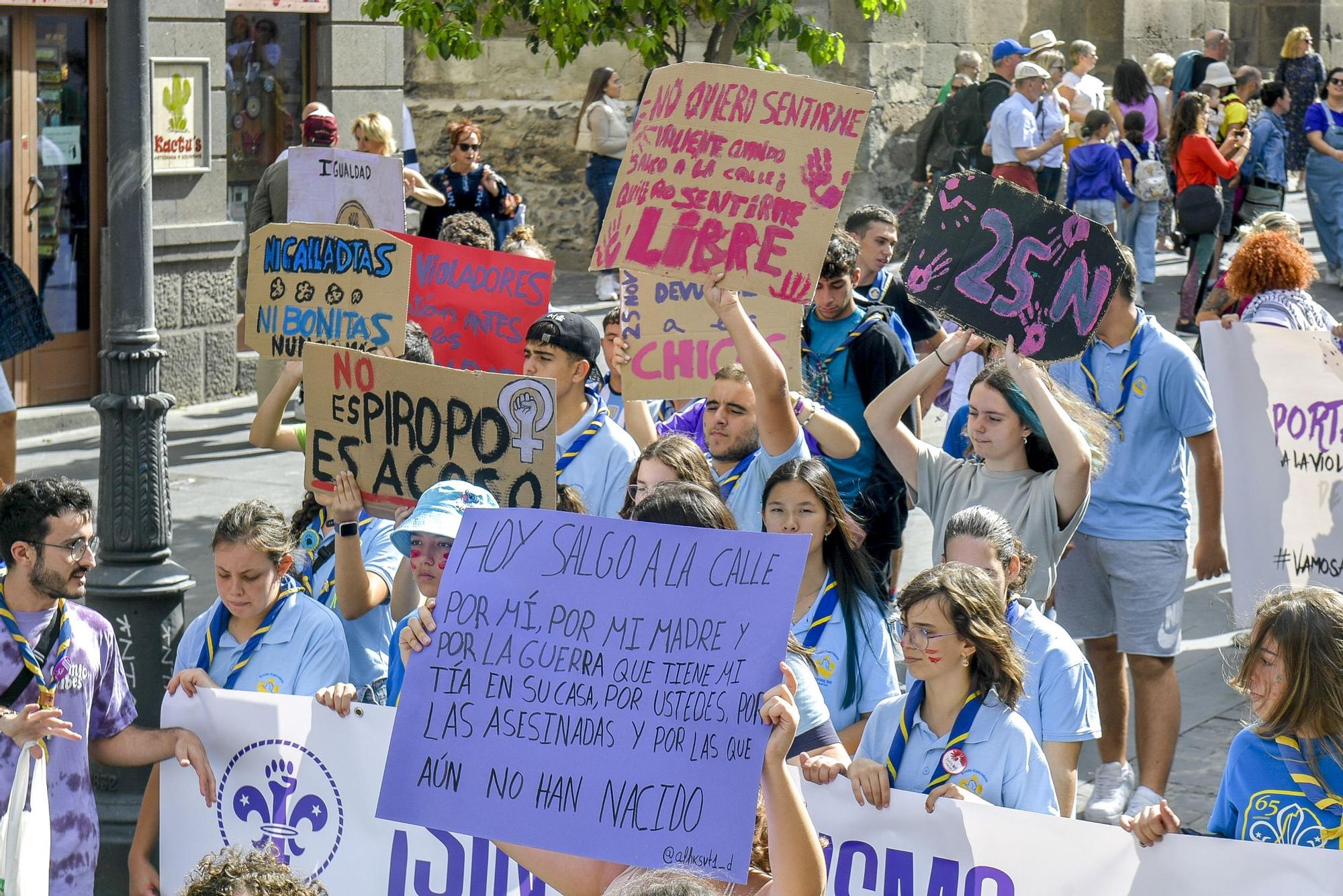 Manifestación del 25N contra la violencia machista