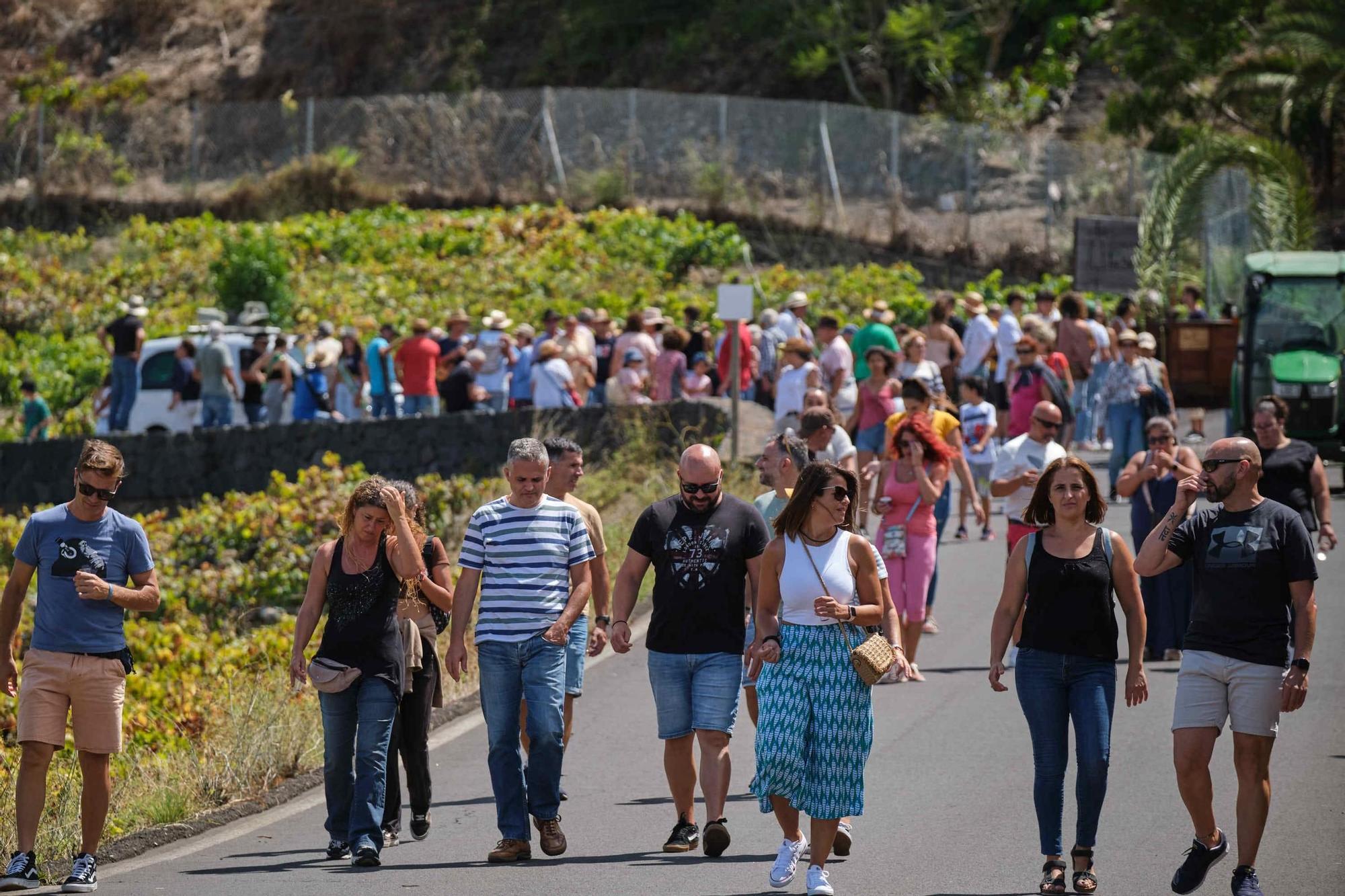 Caravana de la Vendimia de Tegueste