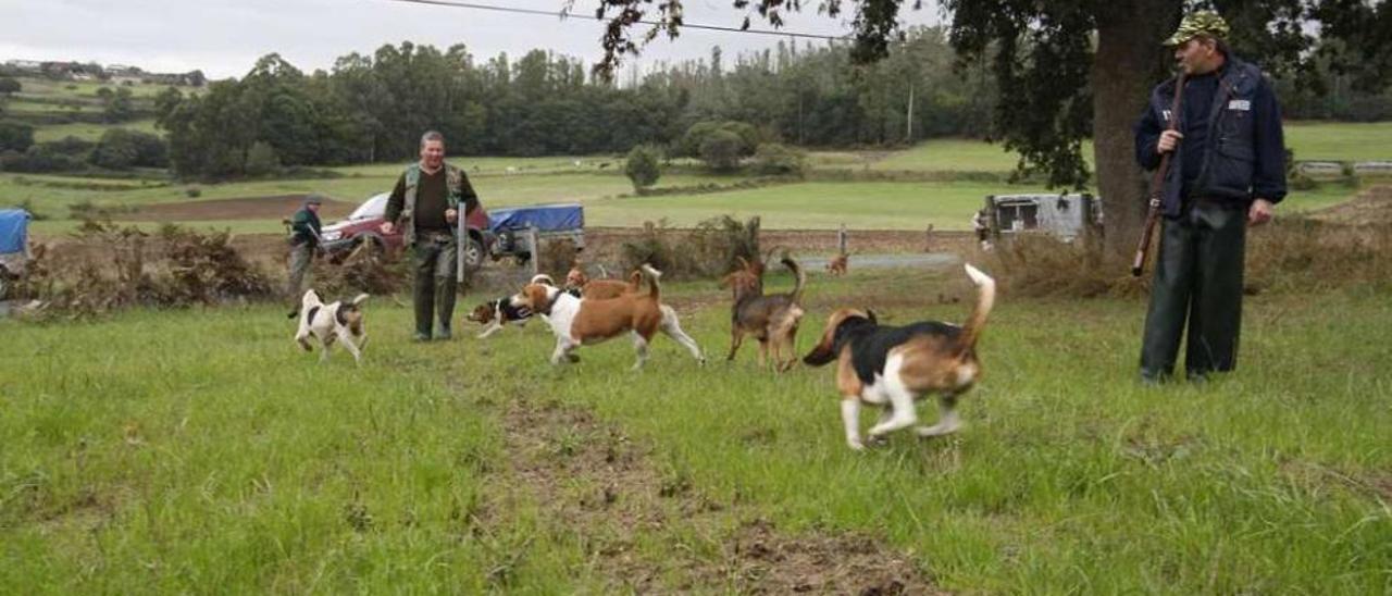 Un grupo de cazadores y sus perros, durante una jornada de caza. // Bernabé/Gutier