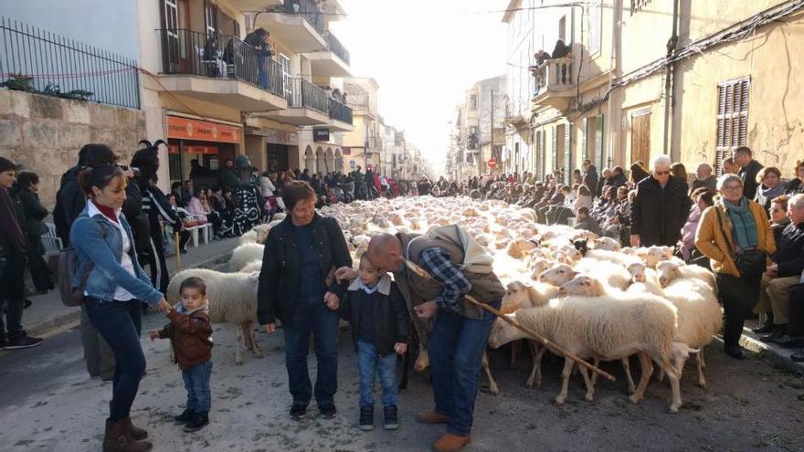 Sant Antoni 2018: Beneïdes de Muro