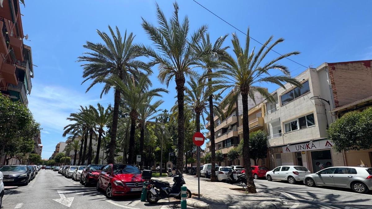 La remodelación de una zona del centro urbano de San Vicente se topa con un imprevisto