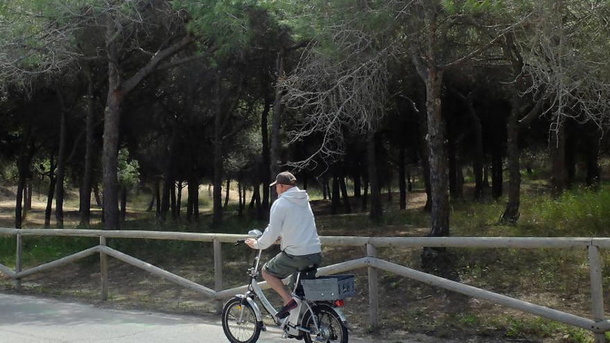 Muere un ciclista tras salirse de la vía en Elche