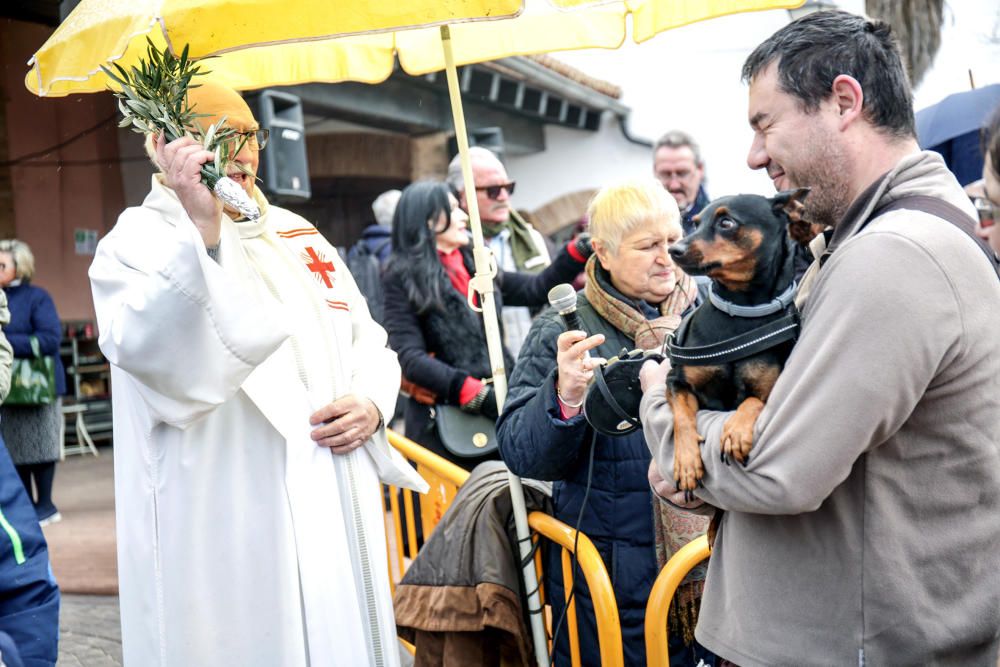 Fiesta de Sant Antoni en la ermita de vera