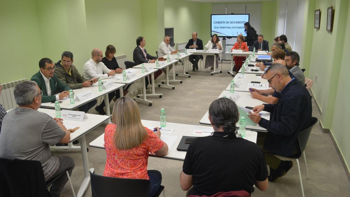 Comisión de Seguimiento del Plan Territorial de Fomento. / E. P.