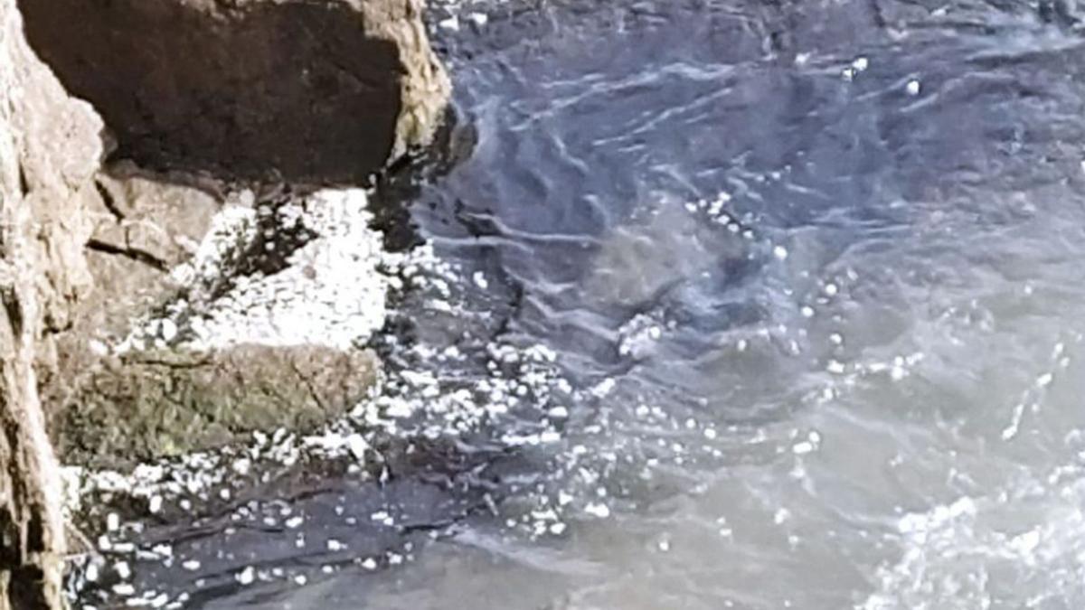 Vertido en la EDAR de Cangas.