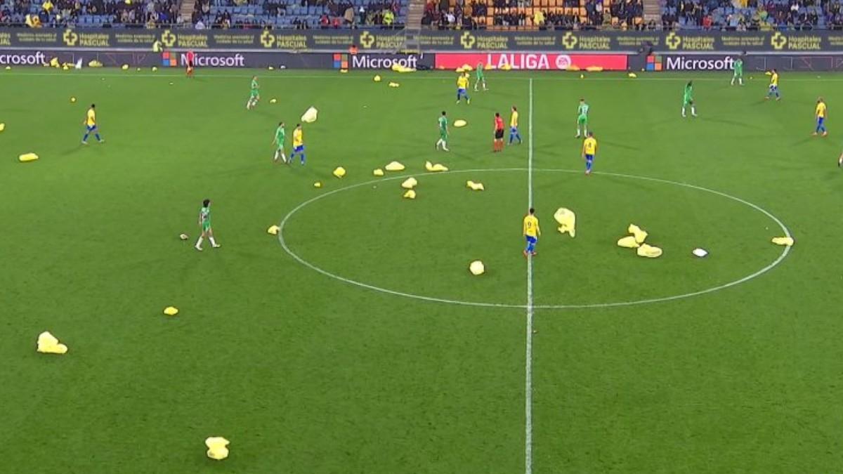 Los chubasqueros amarillos inundaron el césped