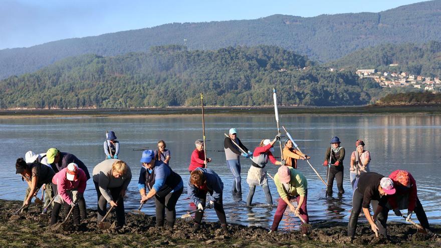 El SOS de las mariscadoras: “La gente viene a trabajar a base de calmantes”