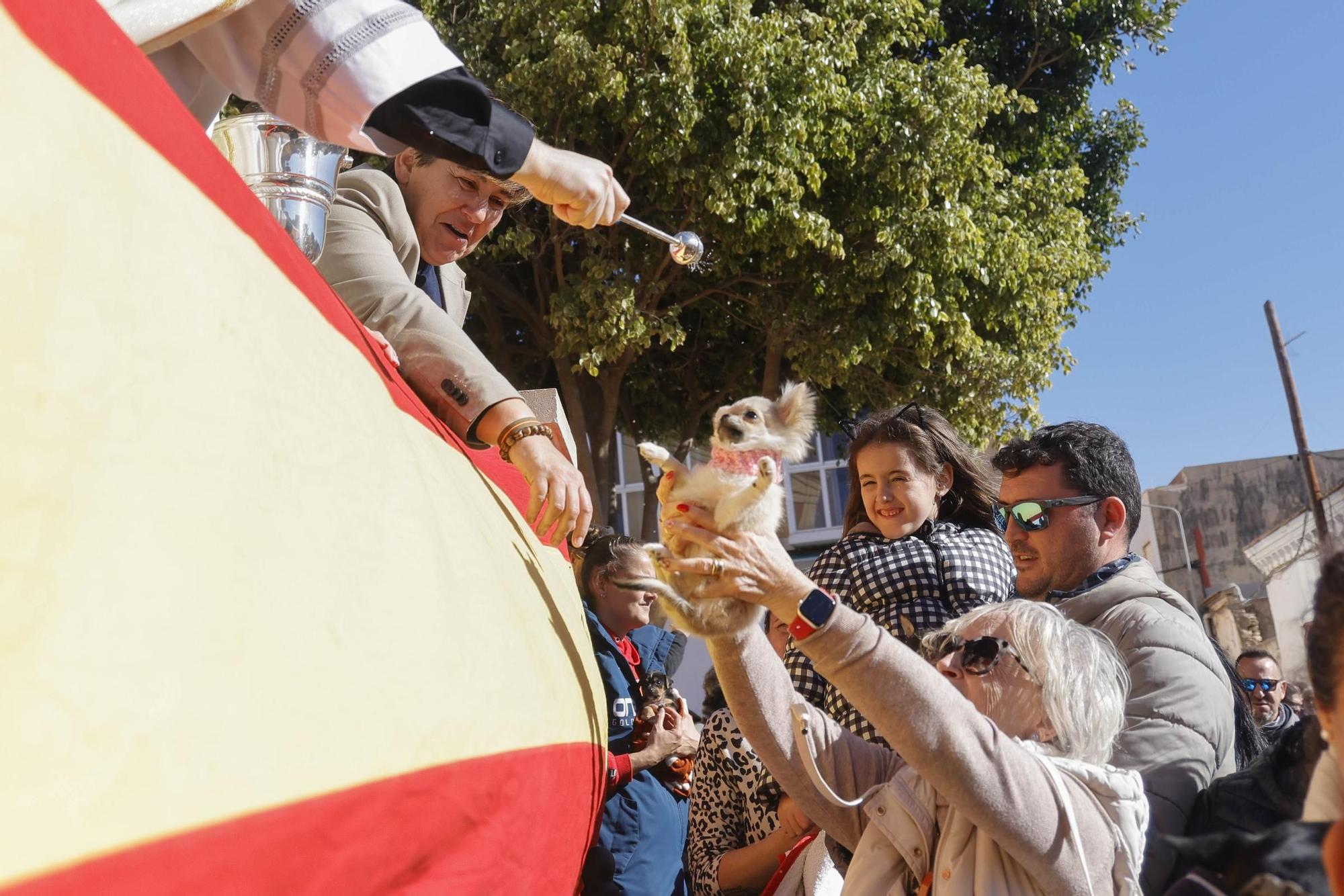 FOTOS: los mejores momentos de la bendición de animales por San Antón en Cartagena